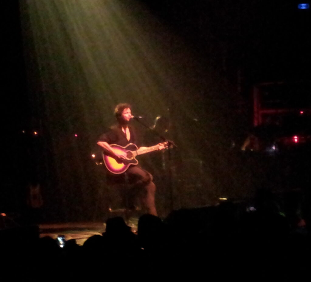 Bertrand_Cantat_avec_Detroit_en_2014_1_28cropped29
